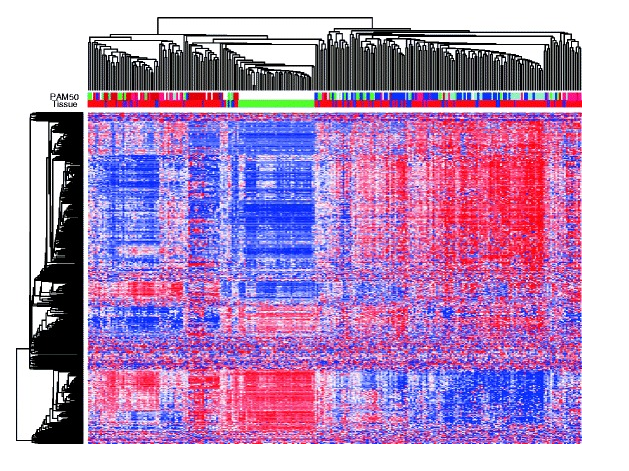 Figure 2. Hierarchical clustering of the methylation level of the 500 most variable gene regions. Tissue types (green, healthy breast; blue, DCIS; purple, mixed DCIS-IBC; red, IBC) and PAM50 subtype (dark blue, luminal A; light blue, luminal B; pink, HER2-enriched; red, basal-like; green, normal-like) are indicated.